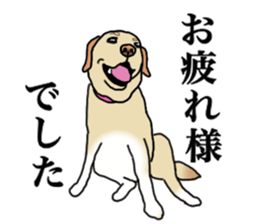 JULIA the Labrador Retriever sticker #14634858