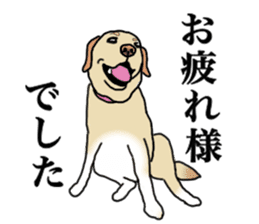 JULIA the Labrador Retriever sticker #14634858