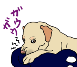 JULIA the Labrador Retriever sticker #14634859