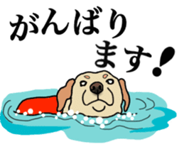 JULIA the Labrador Retriever sticker #14634869