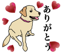JULIA the Labrador Retriever sticker #14634870