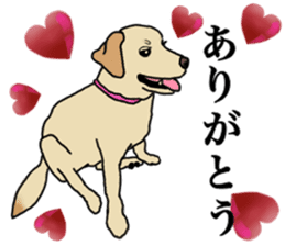 JULIA the Labrador Retriever sticker #14634870