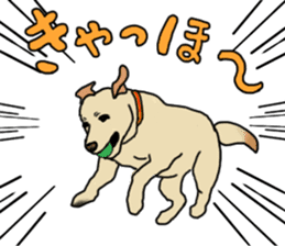 JULIA the Labrador Retriever sticker #14634876