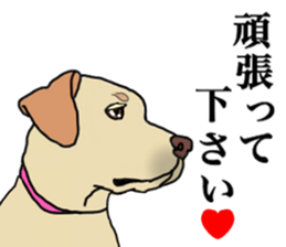 JULIA the Labrador Retriever sticker #14634878