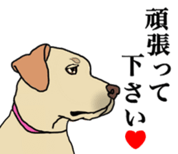 JULIA the Labrador Retriever sticker #14634878