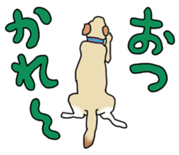 JULIA the Labrador Retriever sticker #14634879