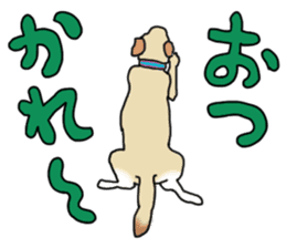 JULIA the Labrador Retriever sticker #14634879