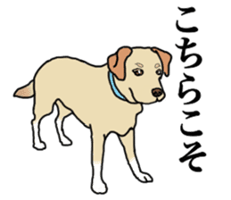 JULIA the Labrador Retriever sticker #14634881