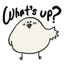 Slow Bird Facky 3 sticker #14635509