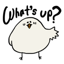 Slow Bird Facky 3 sticker #14635509