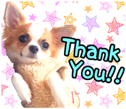 my dog hana 2 sticker #14635544