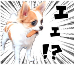 my dog hana 2 sticker #14635545