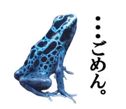 Poison dart frog of photo sticker #14635755