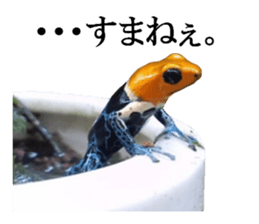Poison dart frog of photo sticker #14635770