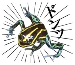 Poison dart frog of photo sticker #14635771