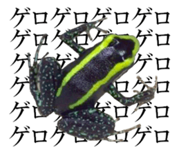 Poison dart frog of photo sticker #14635774