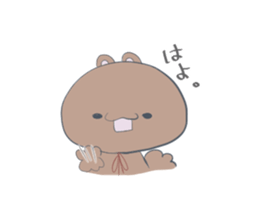 Anyway a free Risukuma sticker #14636044