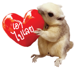 A little Squirrel2 Kwan & Khing sticker #14636719