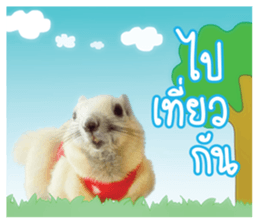 A little Squirrel2 Kwan & Khing sticker #14636721