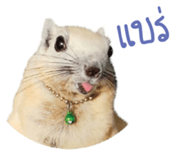 A little Squirrel2 Kwan & Khing sticker #14636723