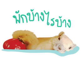 A little Squirrel2 Kwan & Khing sticker #14636727