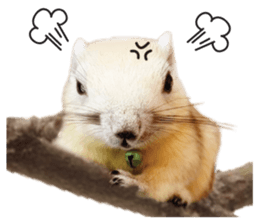 A little Squirrel2 Kwan & Khing sticker #14636730