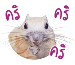 A little Squirrel2 Kwan & Khing sticker #14636740