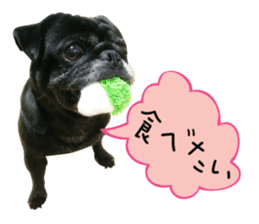 7 pugs and ete sticker #14637359
