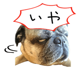 7 pugs and ete sticker #14637366
