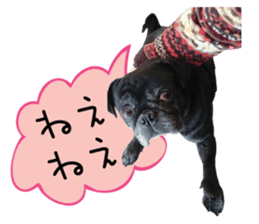 7 pugs and ete sticker #14637374