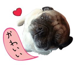 7 pugs and ete sticker #14637381