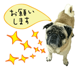 7 pugs and ete sticker #14637383
