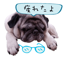 7 pugs and ete sticker #14637387