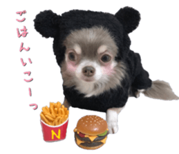 Bear chihuahua sticker #14638184