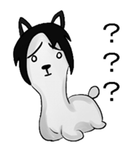 alaki paca