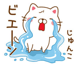 Fun Sticker gift to JUNKO sticker #14638486