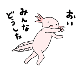 Axolotls (easy to use?) 2 sticker #14639023
