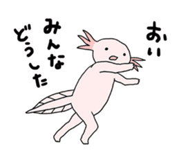Axolotls (easy to use?) 2 sticker #14639023