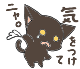 black playful kitten sticker #14639413