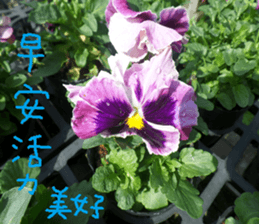 Orange life chapter sticker #14640294