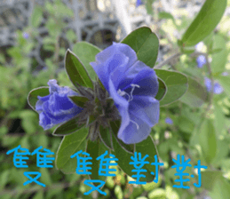 Orange life chapter sticker #14640296