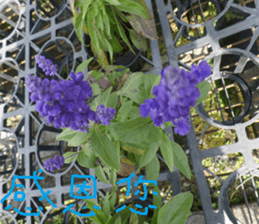 Orange life chapter sticker #14640298