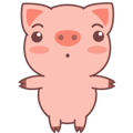 Cute litte pig !
