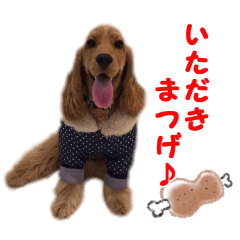 Our family member, Matsuge & Nasan