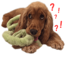 Our family member, Matsuge & Nasan sticker #14640359