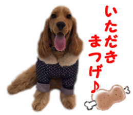 Our family member, Matsuge & Nasan sticker #14640362