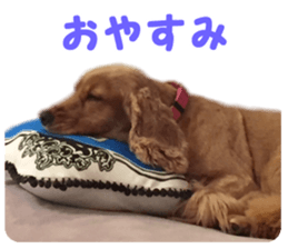 Our family member, Matsuge & Nasan sticker #14640364