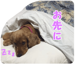 Our family member, Matsuge & Nasan sticker #14640365