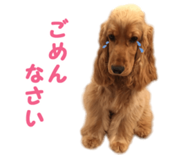 Our family member, Matsuge & Nasan sticker #14640366