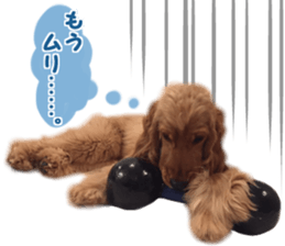 Our family member, Matsuge & Nasan sticker #14640368